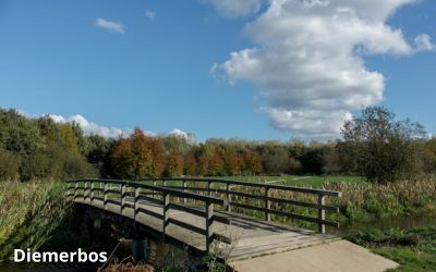 Diemerbos canva