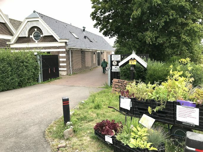 dagbesteding weespertrekvaart 687x515