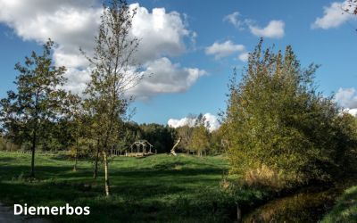 Diemerbos3 canva