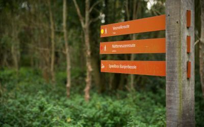 bewegwijzering canva