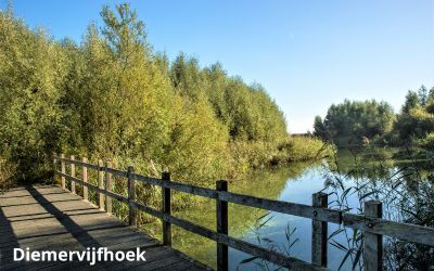 Diemervijfhoek canva