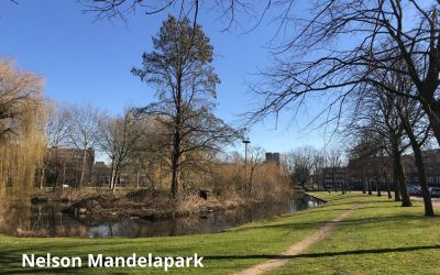 mandelapark canva