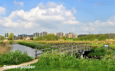 Diemerpolder1 canva