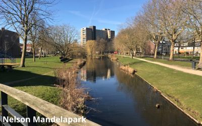 Nelson Mandelapark 1 canva