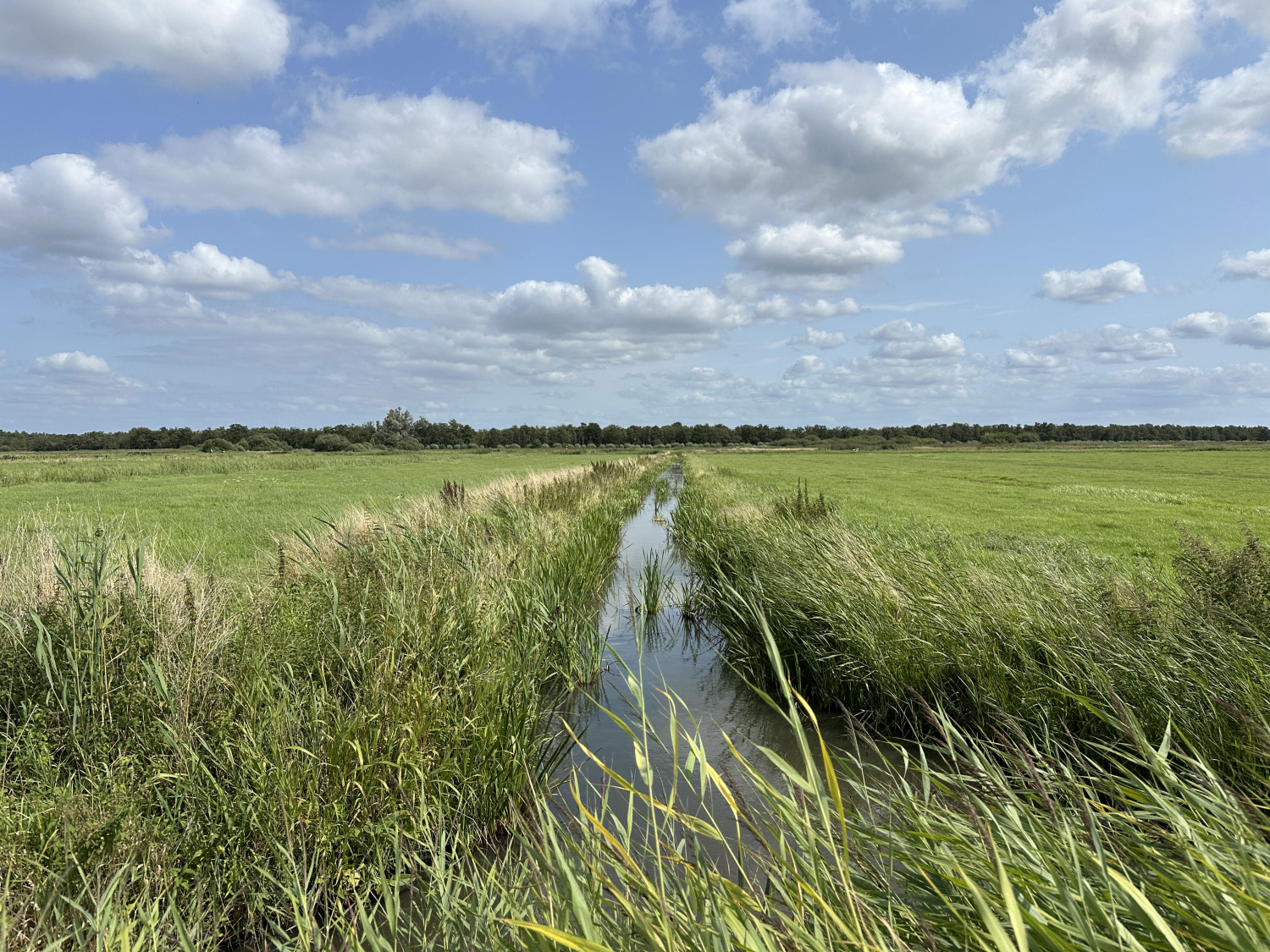 IMG_9347 Naardermeer_midres
