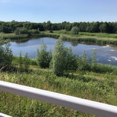 Overdiemen