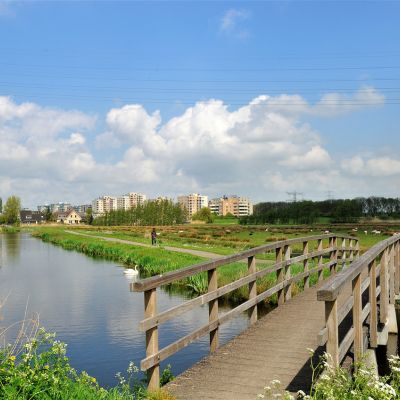 Diemerpolder2