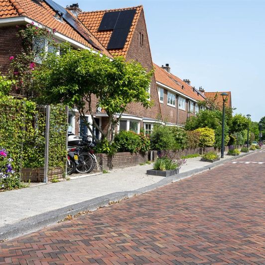 Koop