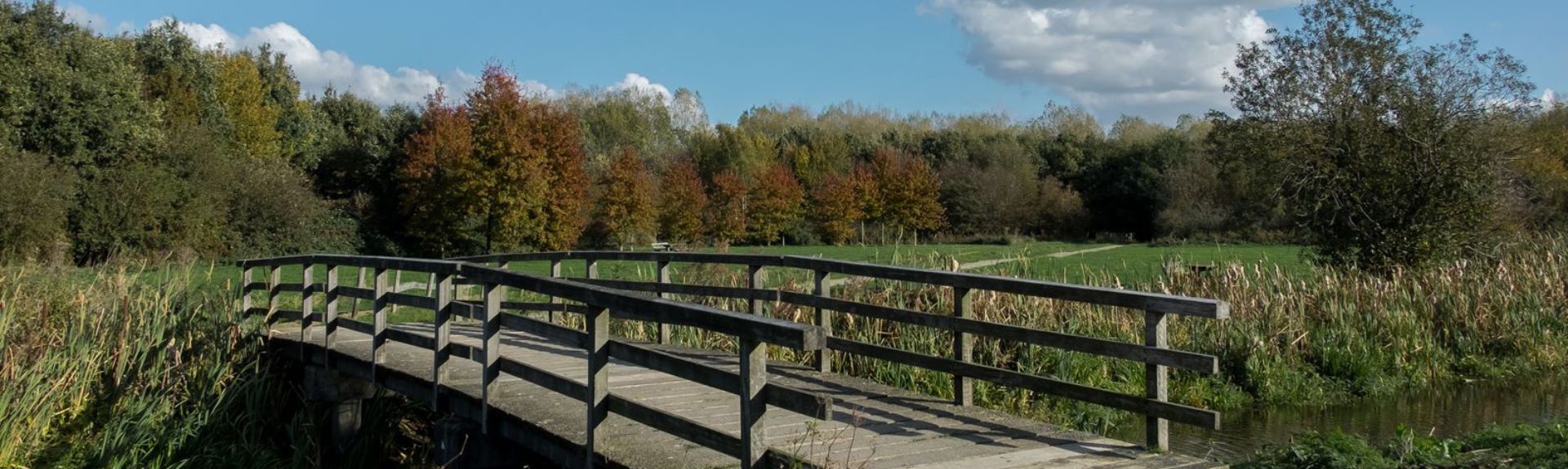 headerfoto natuur